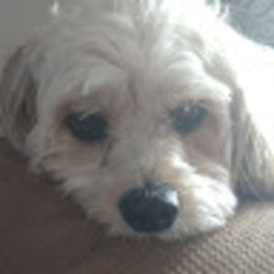 Meet your Posher, Lyn